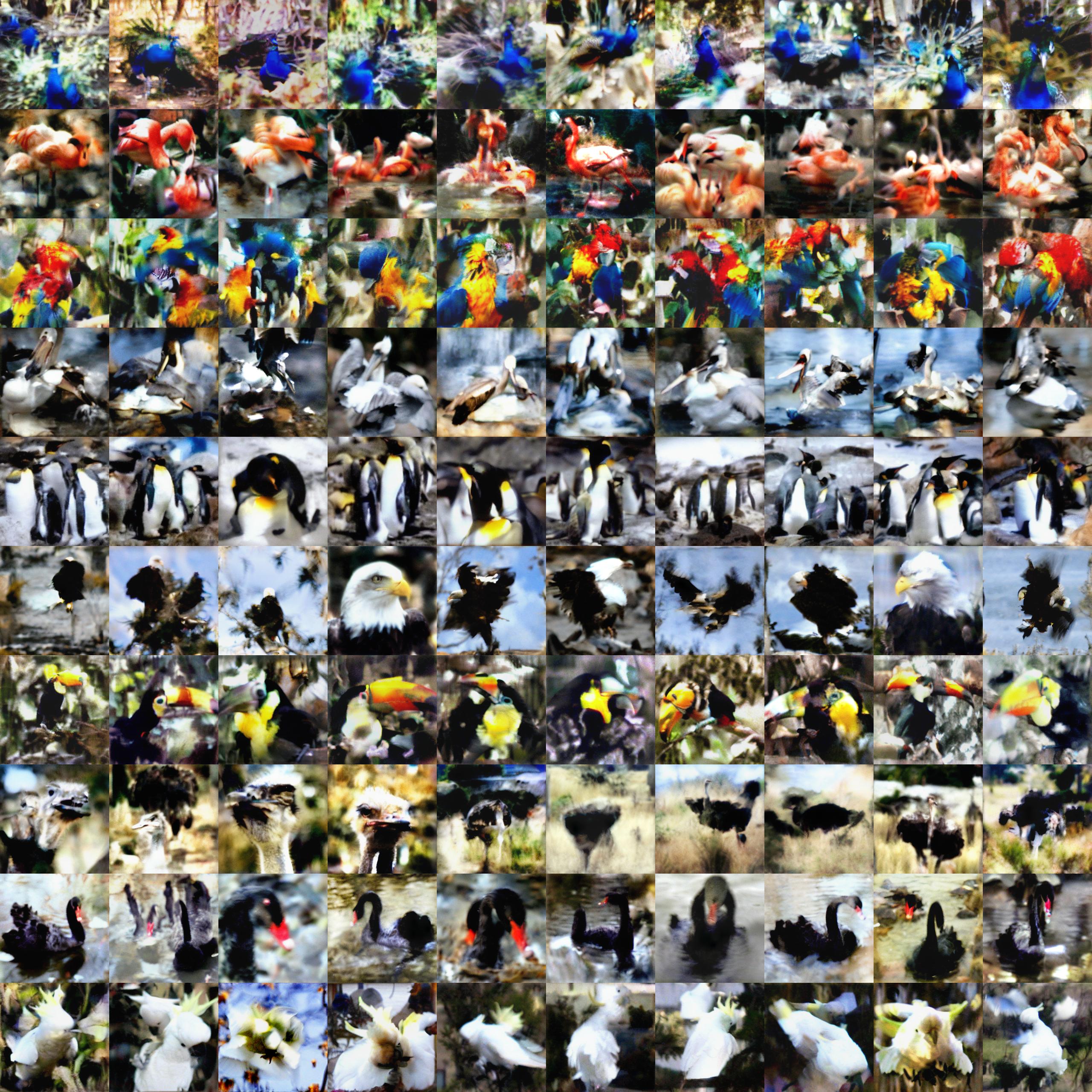 Squawk 10ipc MTT+PReDD